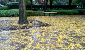 雨后的城市風景，你細細品味過嗎？