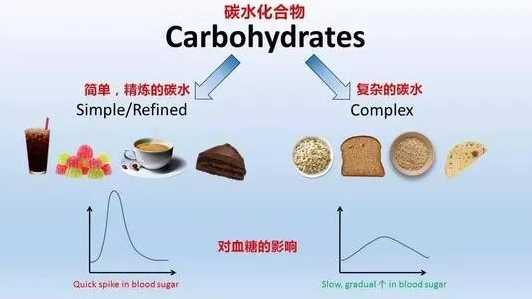 中鏈甘油三酯（MTC）是如何給人體充電加油的？