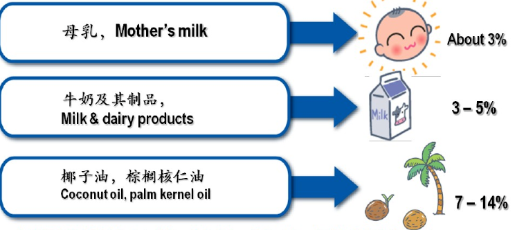 中鏈甘油三酯（MTC）是如何給人體充電加油的？