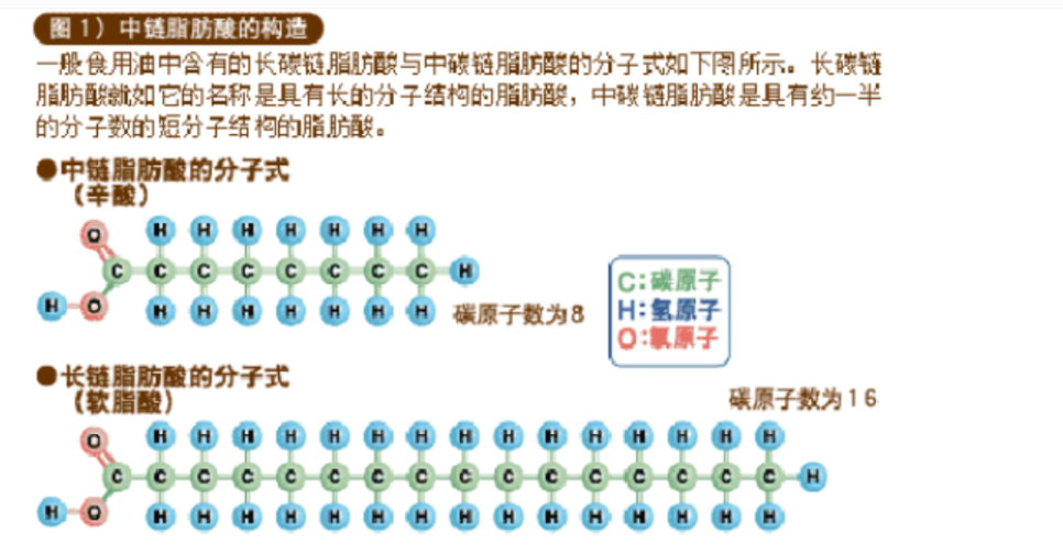 MCT中鏈脂肪酸